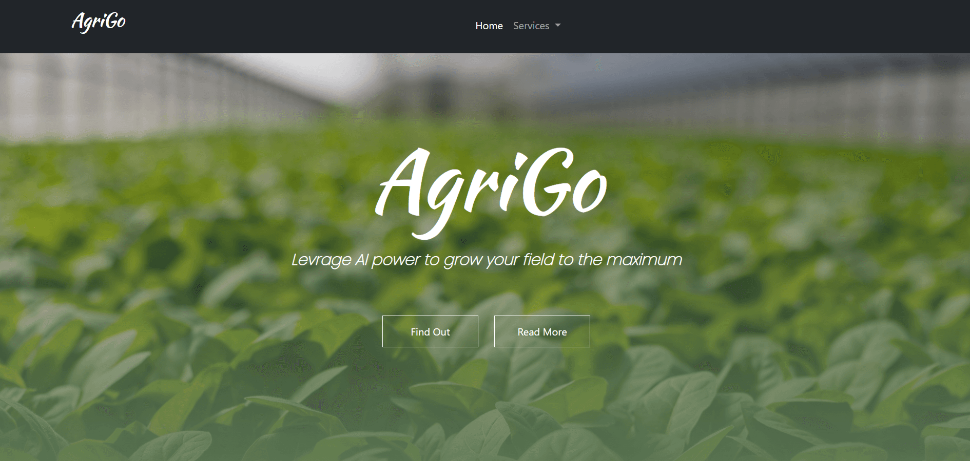 AGRI  GO project screenshot